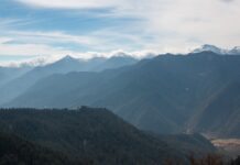 Creative Community-Based Policies in Bhutan Reveal Benefits of Planted Forests