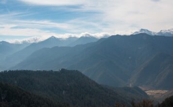 Creative Community-Based Policies in Bhutan Reveal Benefits of Planted Forests