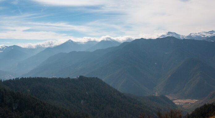 Creative Community-Based Policies in Bhutan Reveal Benefits of Planted Forests