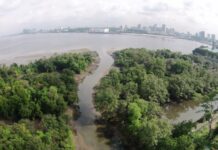 Singapore to Plant One Million Trees by 2030