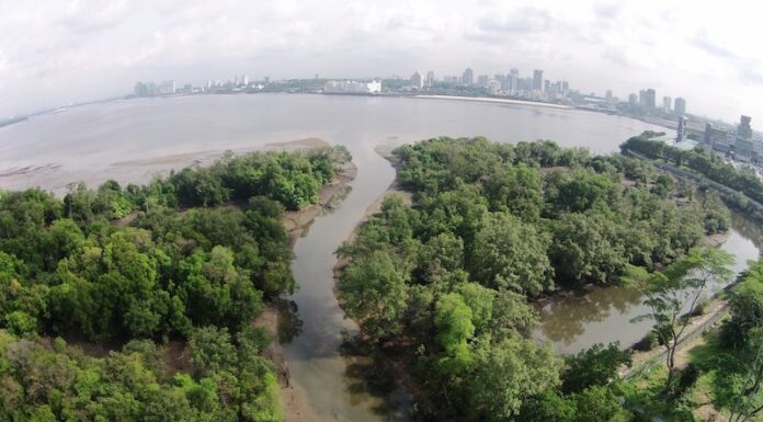 Singapore to Plant One Million Trees by 2030