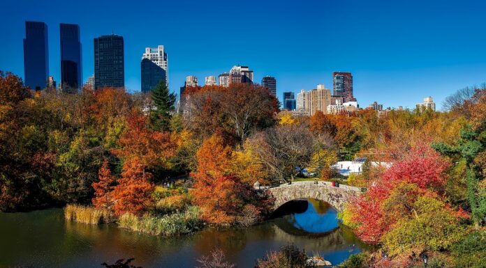 Green Spaces Keep Hearts Healthy and Save Lives