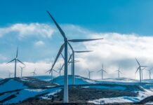 Europe Targets 100 Climate-Neutral Cities by 2030