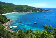 Crowdfunding for Conservation on a Deserted Tourist Island