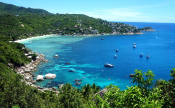 Crowdfunding for Conservation on a Deserted Tourist Island