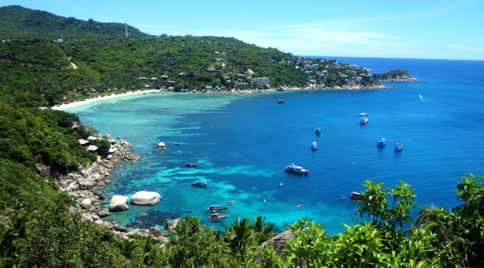 Crowdfunding for Conservation on a Deserted Tourist Island