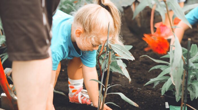 Continuing Environmental Education During a Pandemic