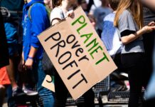 Fighting Climate Change: Cheaper Than ‘Business as Usual’ and Better for the Economy