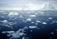They’re Everywhere: New Study Finds Polyester Fibres Throughout the Arctic Ocean