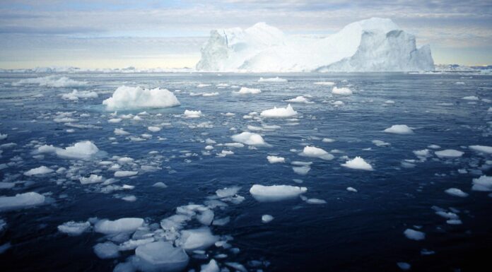 They’re Everywhere: New Study Finds Polyester Fibres Throughout the Arctic Ocean