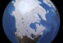 Redefining Global Commons in the Anthropocene