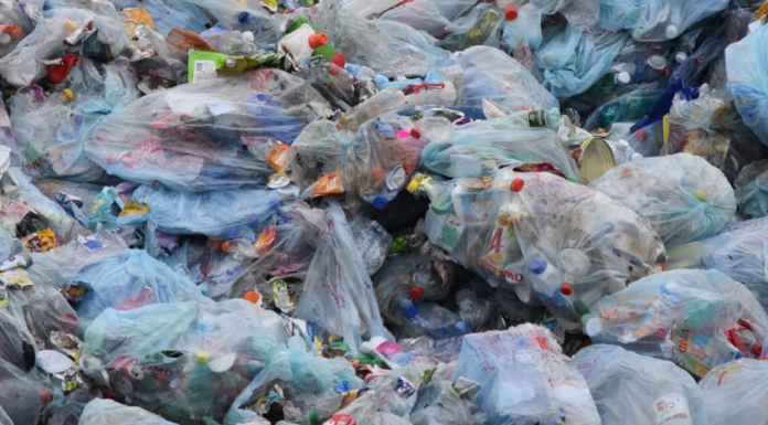 Chile’s Waste Bus Changes Throw-Away Societies