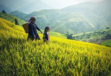 Structuring Climate Finance to Benefit Women and Alleviate Poverty