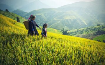 Structuring Climate Finance to Benefit Women and Alleviate Poverty