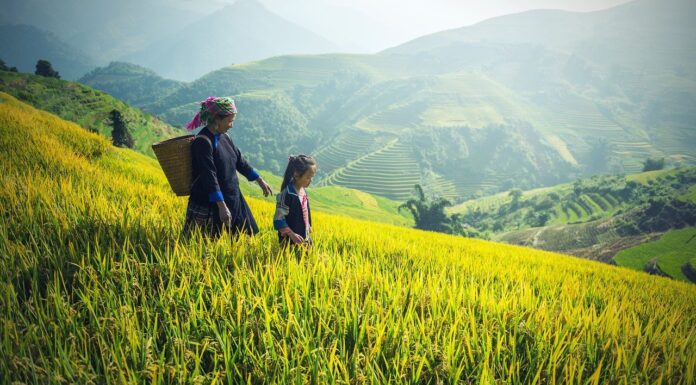 Structuring Climate Finance to Benefit Women and Alleviate Poverty