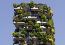 A New Initiative Could Make Cities More Biodiverse: Here’s How