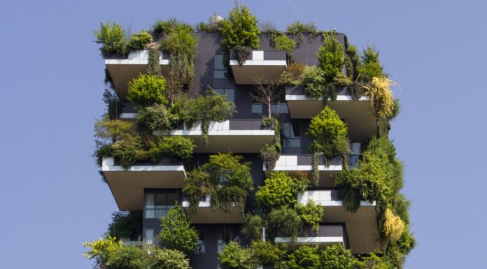 A New Initiative Could Make Cities More Biodiverse: Here’s How