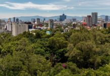 How Mexico City is Embracing Biodiversity