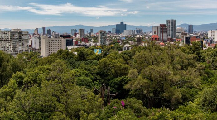 How Mexico City is Embracing Biodiversity