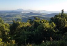 Taking Care of Business: The Private Sector is Waking Up to Nature’s Value