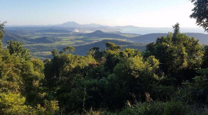 Taking Care of Business: The Private Sector is Waking Up to Nature’s Value