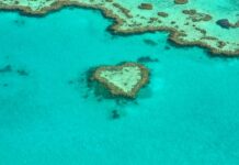 These 3 World Heritage Marine Sites Store Billions of Tonnes of CO2