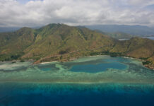 Meet the Farmers Helping to Reforest Timor-Leste