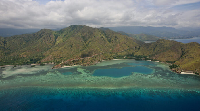 Meet the Farmers Helping to Reforest Timor-Leste