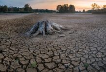 US Intelligence Warns of Dire Climate Consequences that Biotech Could Ease