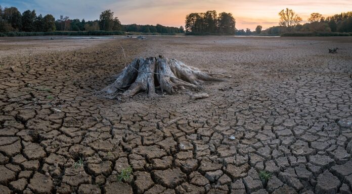 US Intelligence Warns of Dire Climate Consequences that Biotech Could Ease