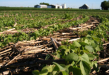 Farming without disturbing soil could cut agriculture’s climate impact by 30% – new research