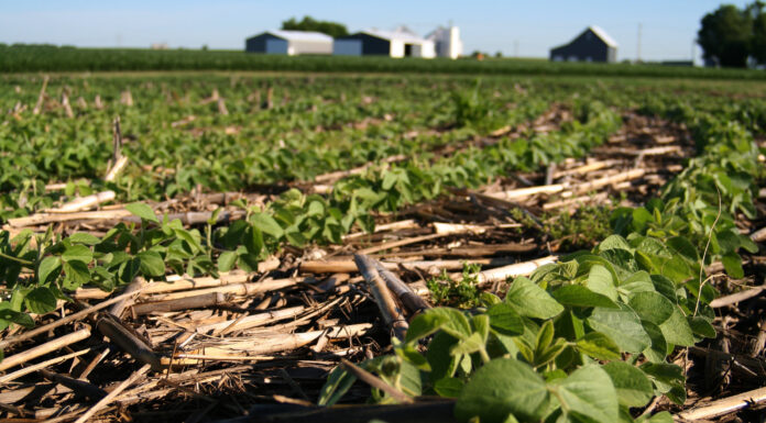 Farming without disturbing soil could cut agriculture’s climate impact by 30% – new research