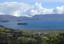 New Campaign Aims to Rediscover Lost Fish Around the Globe