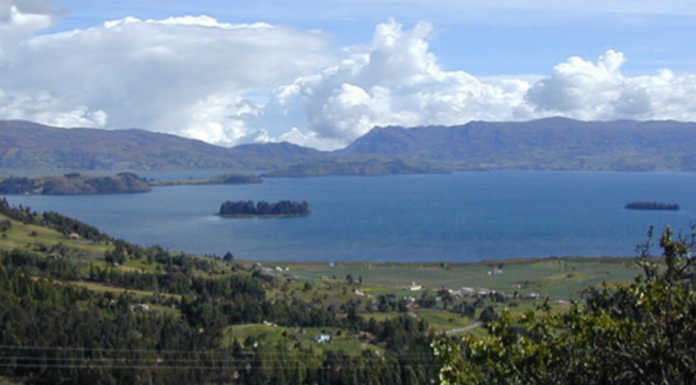 New Campaign Aims to Rediscover Lost Fish Around the Globe