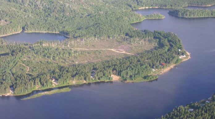 Rights for Nature: How Granting a River ‘Personhood’ Could Help Protect It