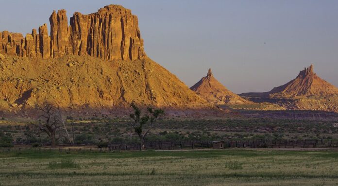 11,000-year-old Solution to Modern Problem: Ancient Potato Could Thrive in Changing Climate