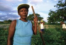 Indigenous Communities Receive Less Than 1% of Climate Mitigation Aid, Report Finds