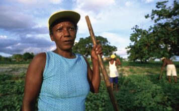 Indigenous Communities Receive Less Than 1% of Climate Mitigation Aid, Report Finds