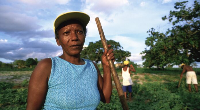 Indigenous Communities Receive Less Than 1% of Climate Mitigation Aid, Report Finds