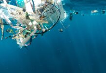 8 Amazing Solutions to Stop Plastic Flowing Into the World’s Oceans
