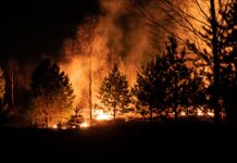 Siberia’s Wildfires Dwarf All Others on the Globe Combined