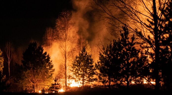 Siberia’s Wildfires Dwarf All Others on the Globe Combined