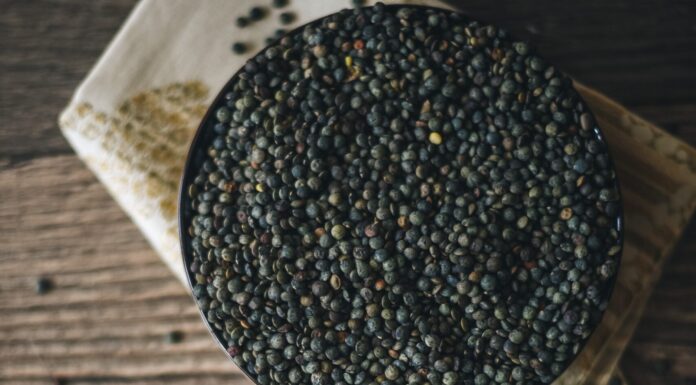 Human Rights Could Address the Health and Environmental Costs of Food Production