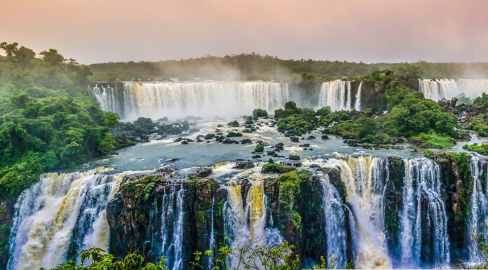 African Tropical Mountain Forests Store Far More Carbon Than Previously Thought – New Research