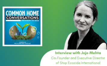 It Is Time to Change the Rules of the Game: Making Ecocide an International Crime