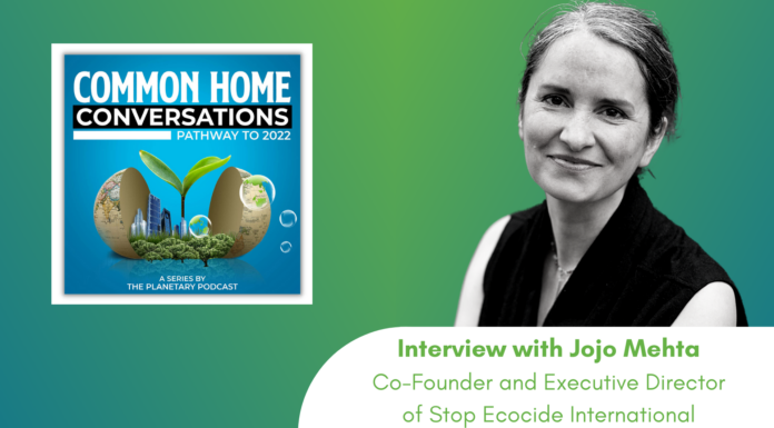 It Is Time to Change the Rules of the Game: Making Ecocide an International Crime