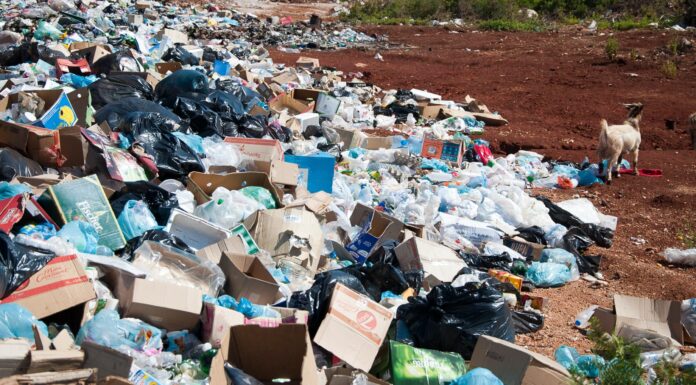 4 Ways Pakistan is Tackling Plastic Waste and Pollution