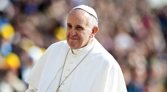 Pope Francis: World Leaders Must Show Political Will, Not Defer Action on Climate Change