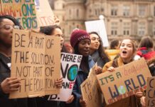 How to Address the Climate Crisis? 5 Young People Share their Solutions