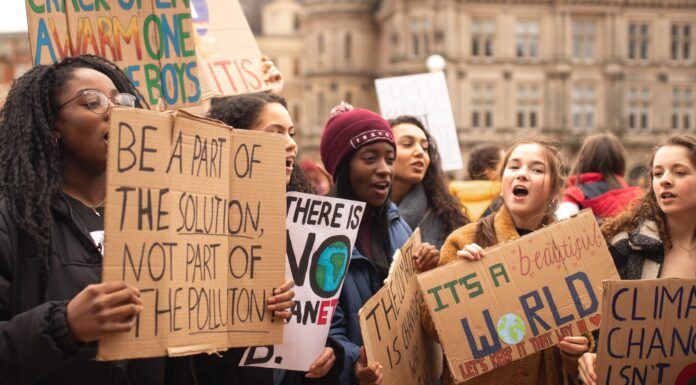 How to Address the Climate Crisis? 5 Young People Share their Solutions